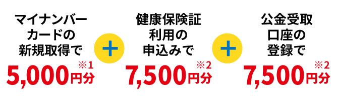 マイナポイント